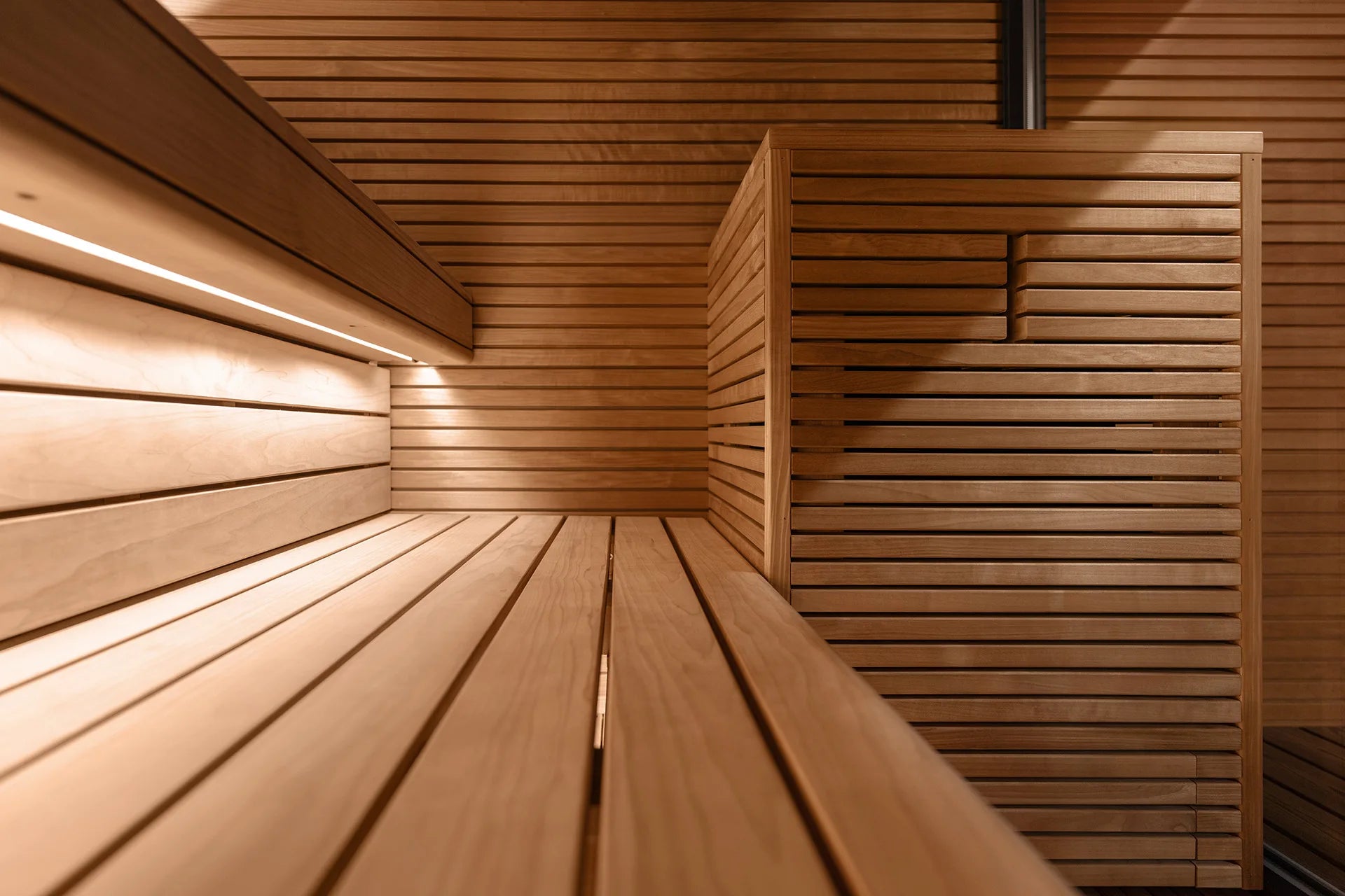 Stylishly designed outdoor sauna with all-glass doors for a luxurious family spa experience